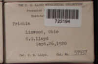 Image Associated With the Occurence